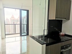 Irwell Hill Residences (D9), Apartment #470461731